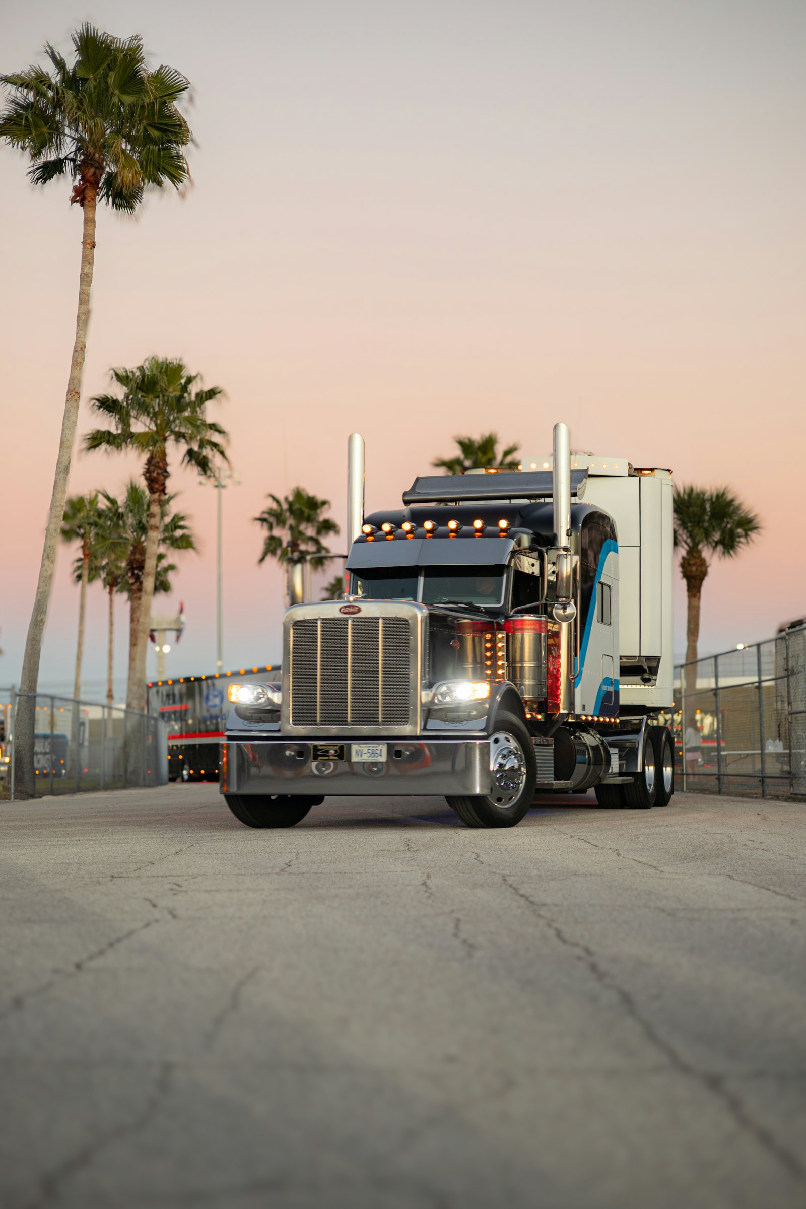 Long-nose semi truck tractor parked beneath palm trees at sunset